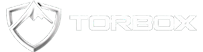 light logo